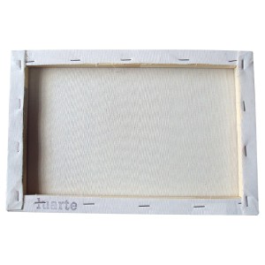 TELA PARA PINTURA 20X20 LUARTE